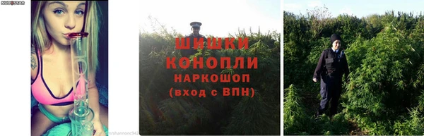 ALPHA PVP Алзамай